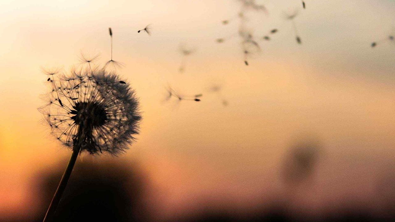 Divorce And Mental Health Problems