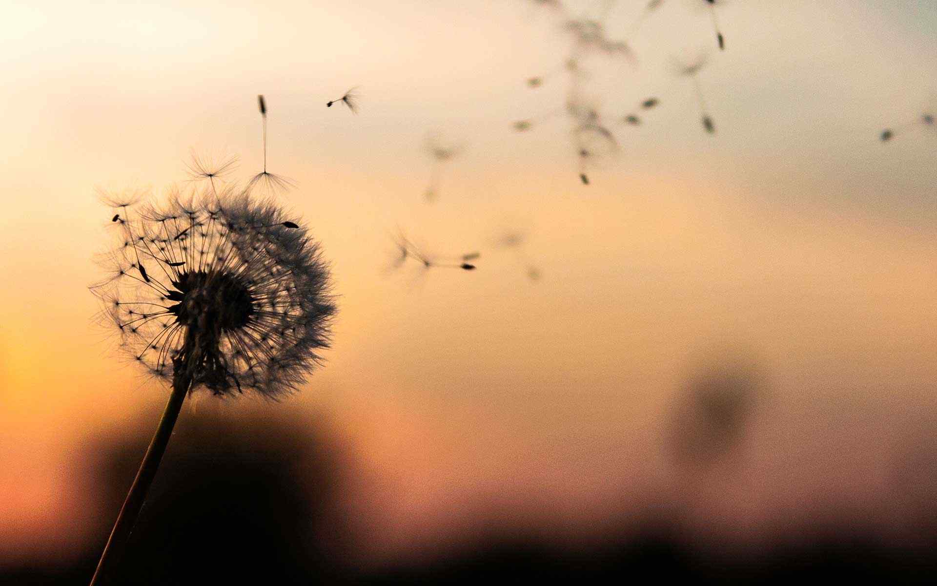 Divorce And Mental Health Problems