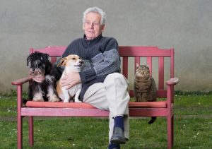 What Happens To My Pets If I Die?